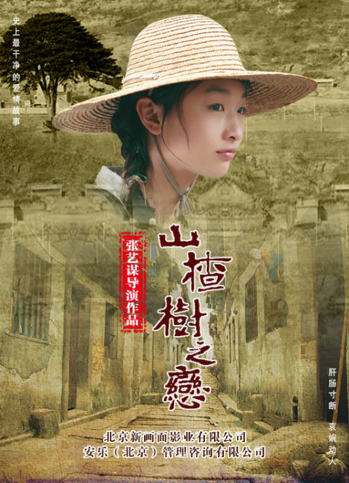 山楂树之恋大结局是什么