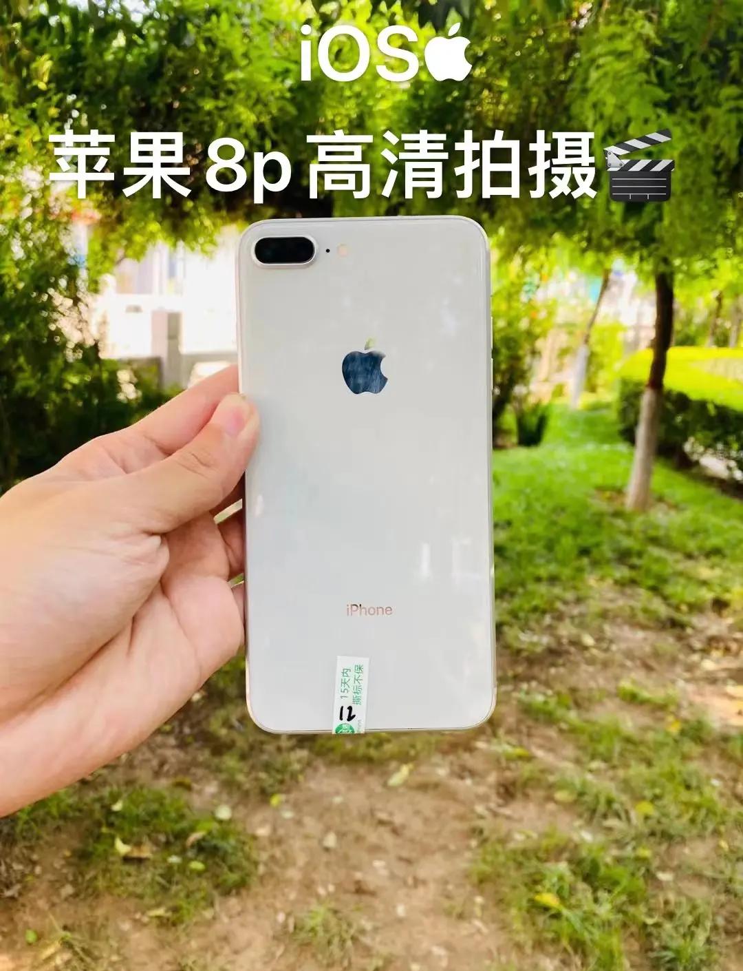 苹果手机8p什么时候上市的